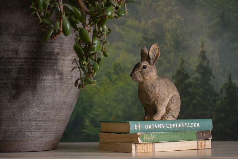 Puinen käsinveistetty pupu - European rabbit