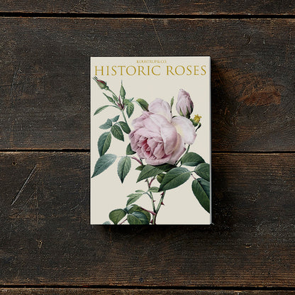 Postikortit Historic Roses 8 kpl