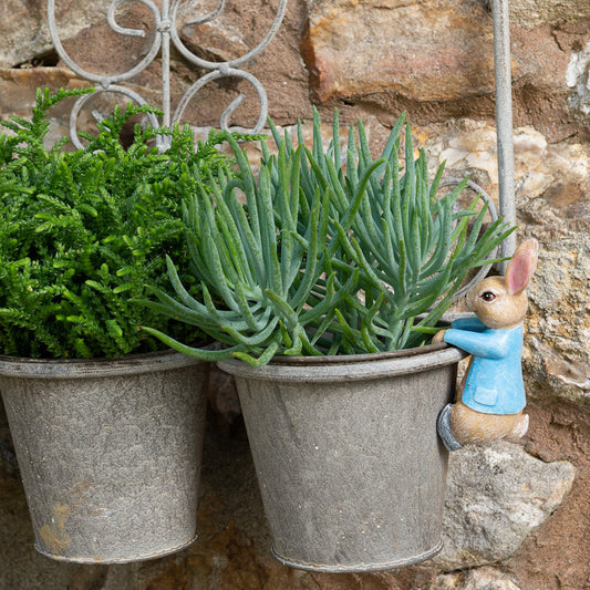 Ruukkukaveri Peter Rabbit pupu