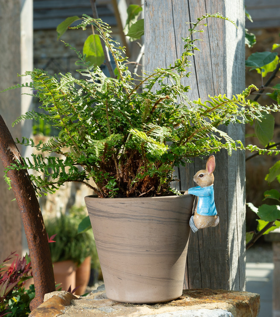 Ruukkukaveri Peter Rabbit pupu