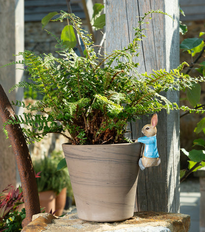 Ruukkukaveri Peter Rabbit pupu