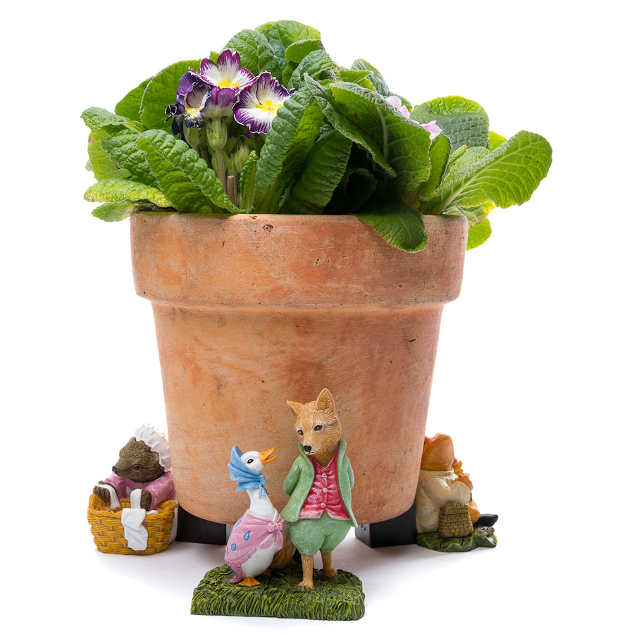 Ruukkutassut Beatrix Potter Set 3: Siili, sammakko, kettu ja hanhi