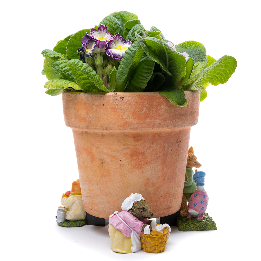 Ruukkutassut Beatrix Potter Set 3: Siili, sammakko, kettu ja hanhi