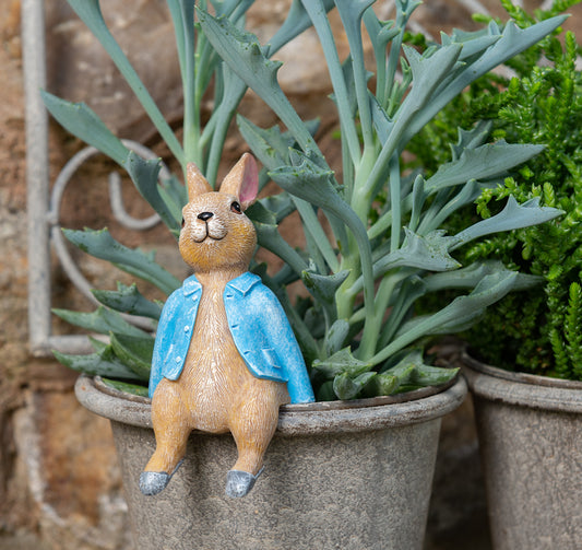 Ruukkukaveri Peter Rabbit istuva pupu, jardinopia