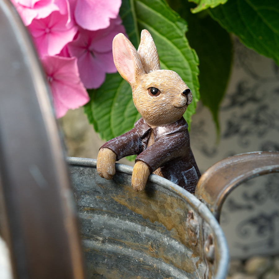 Ruukkukaveri Benjamin Rabbit pupu