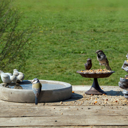 Lintujen juoma-allas betonia