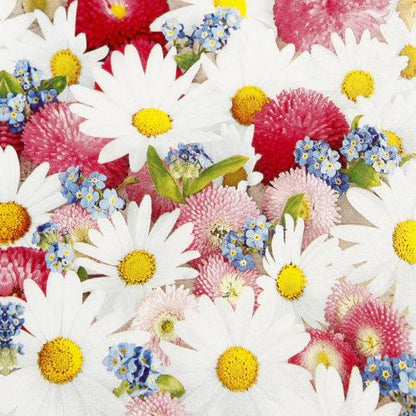 Servetti Päivänkakkarat - Flower Carpet 33 x 33 cm