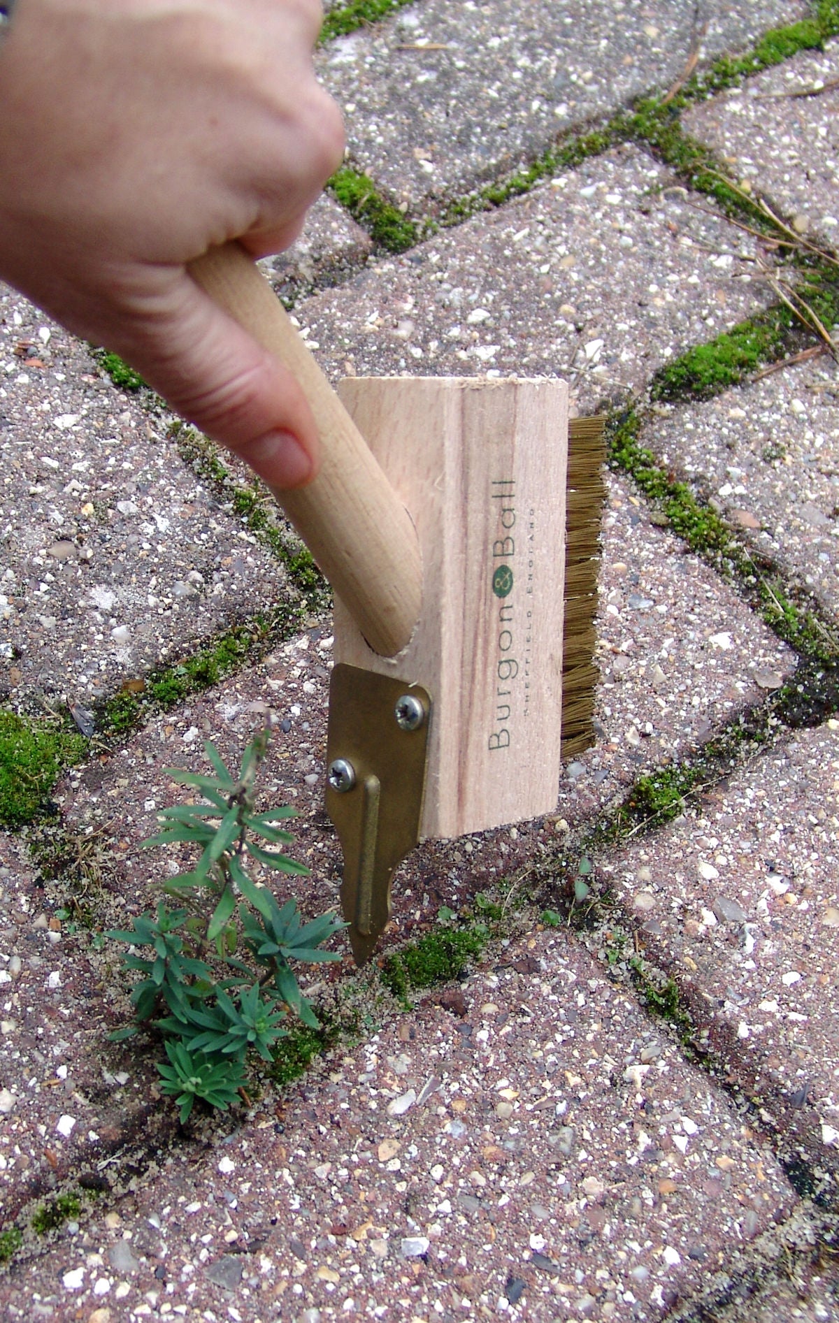 Laattaväliharja rikkaruohoraudalla - Compact Miracle Block Paving &amp; Patio Weed Brush &amp; Knife