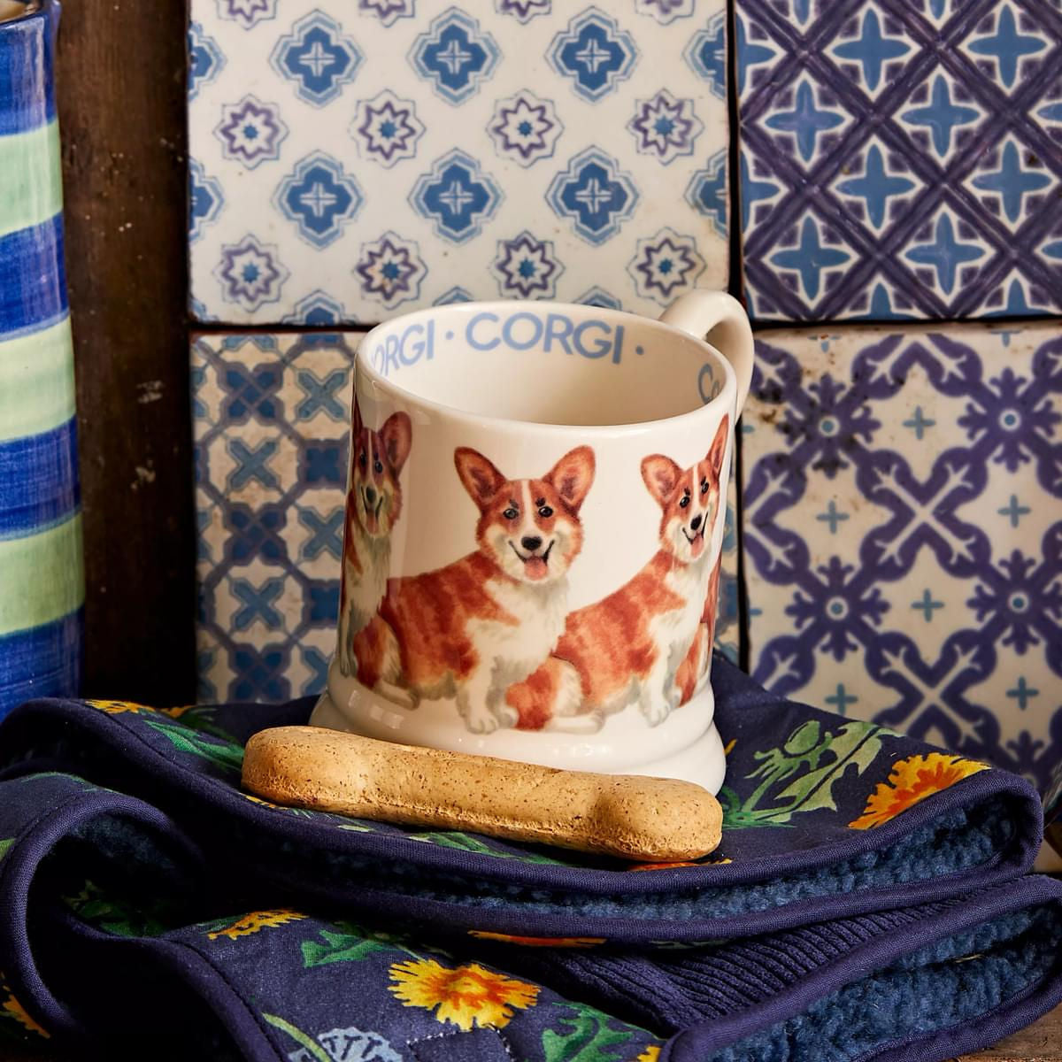 Muki Corgi - Pembroke Welsh Corgi