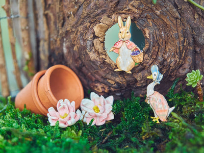 Rintakoru Peter Rabbit - Jemima Puddle-Duck