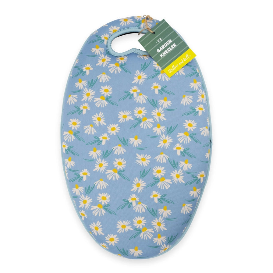 Polvipehmuste Daisy