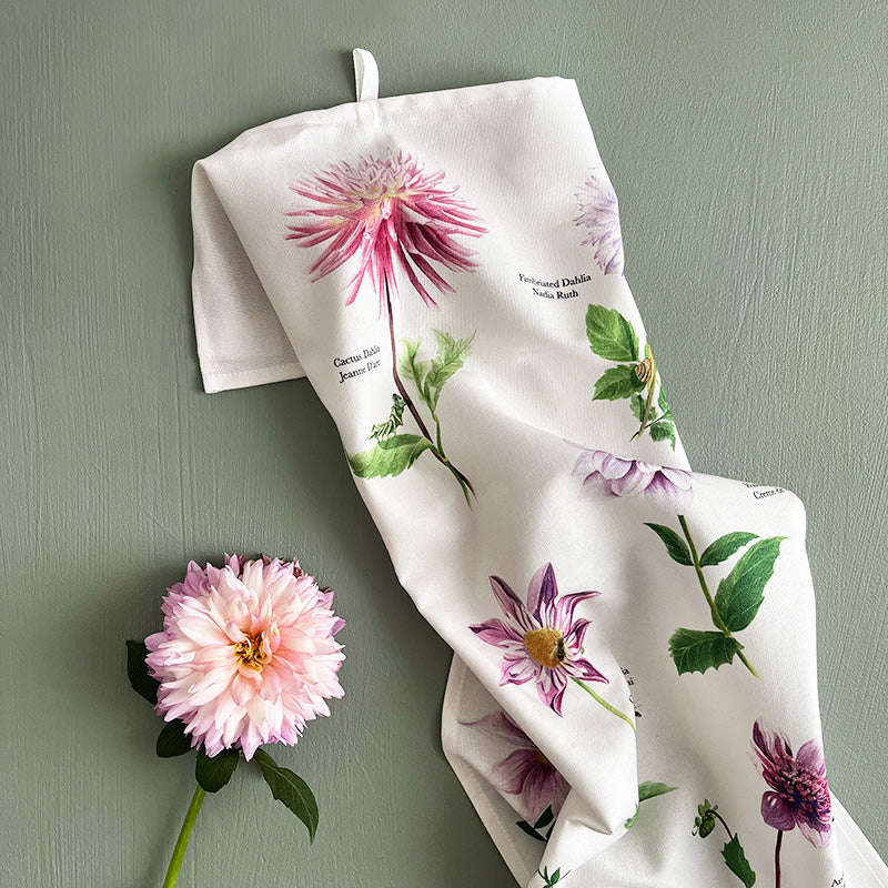 Keittiöpyyhe Daalia - Dahlia