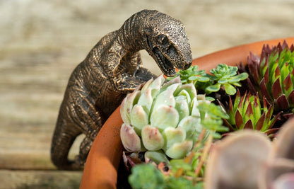Ruukkukaveri Dinosaurus Velociraptor