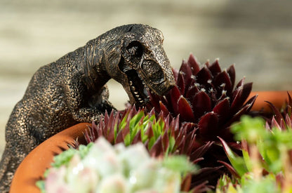 Ruukkukaveri Dinosaurus Tyrannosaurus Rex