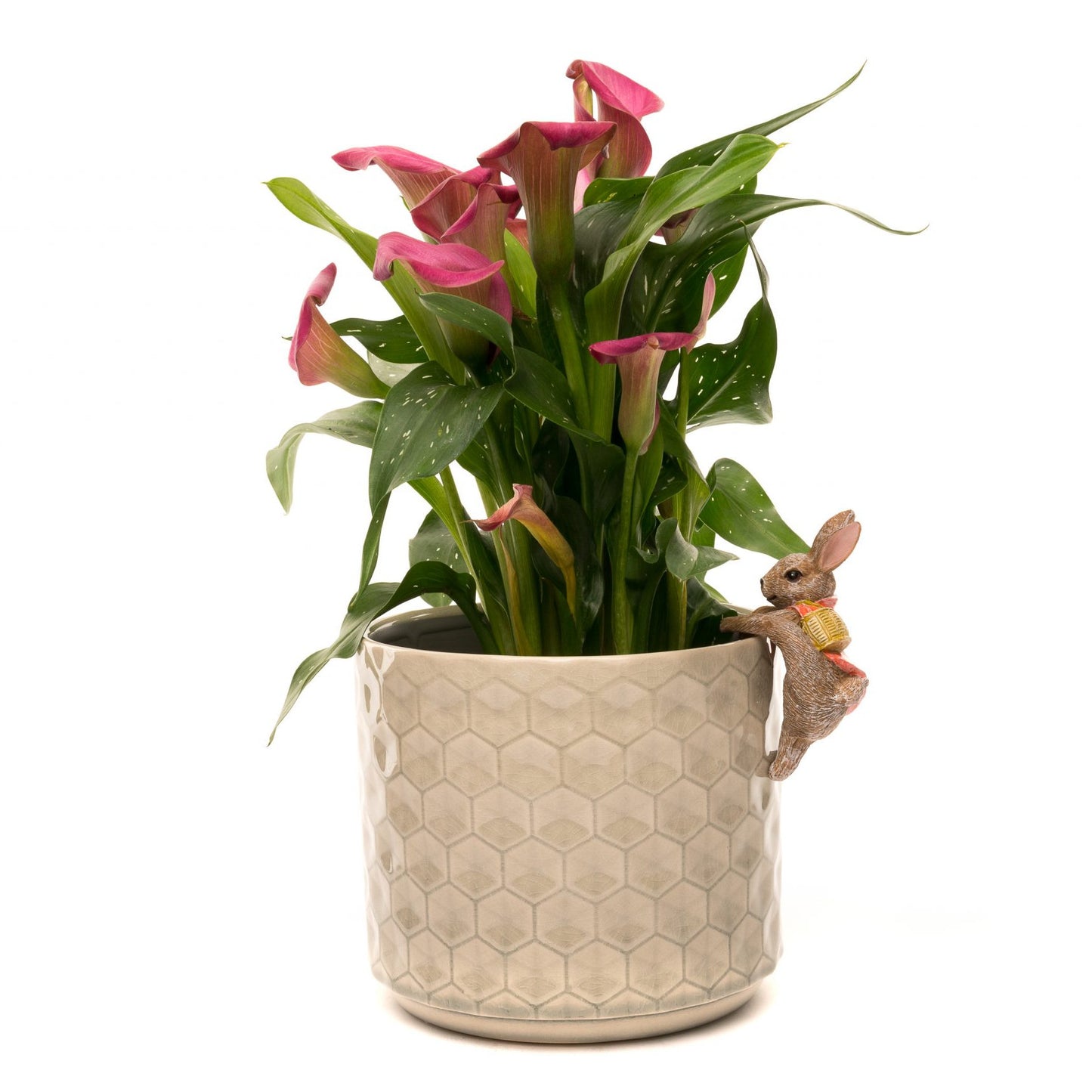 Ruukkukaveri Beatrix Potter Flopsy pupu