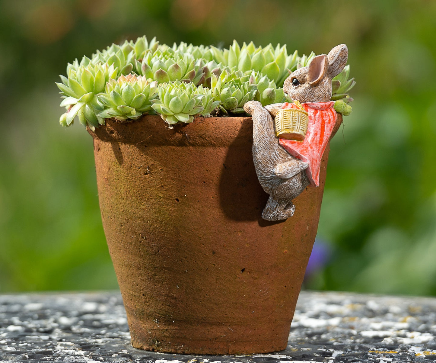 Ruukkukaveri Beatrix Potter Flopsy pupu