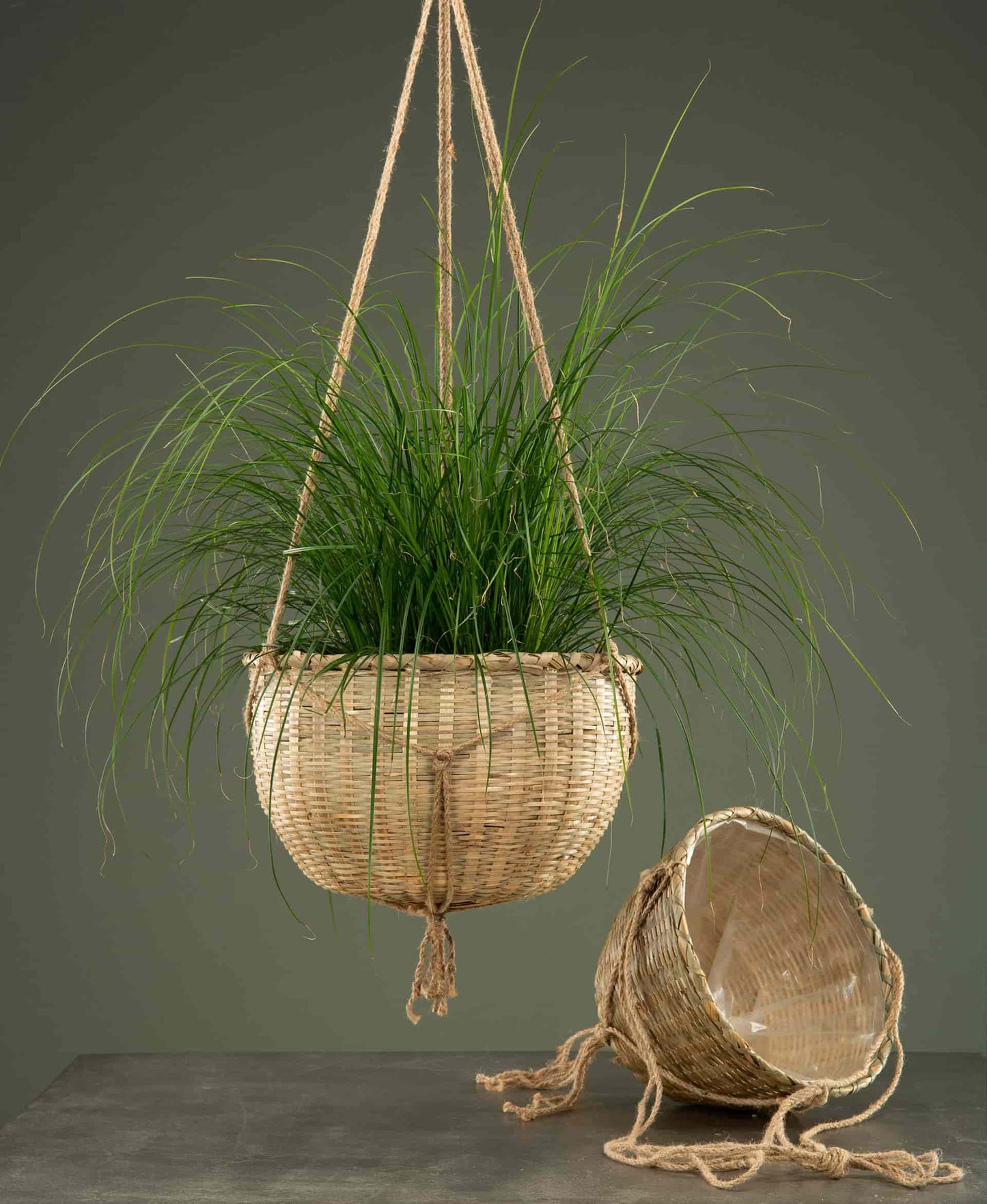 Koriamppeli bambu iso 2 kpl setti