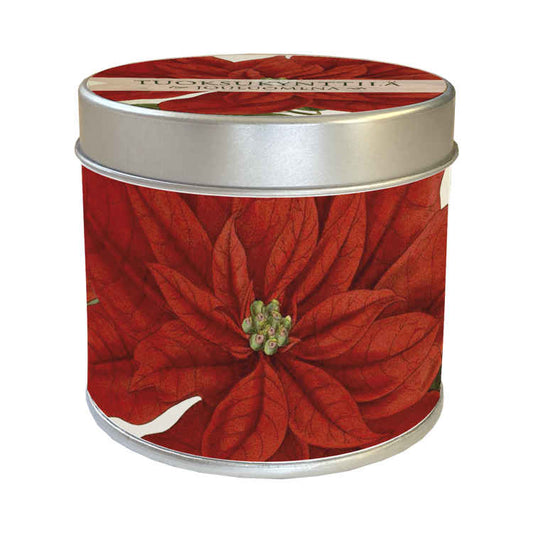 joulukynttilä joulutähti jouluomenan tuoksuinen