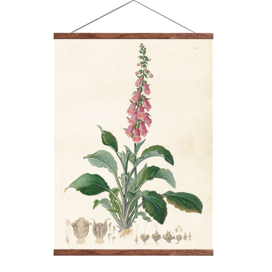 Julistelista julisteen ripustamiseen 50 cm