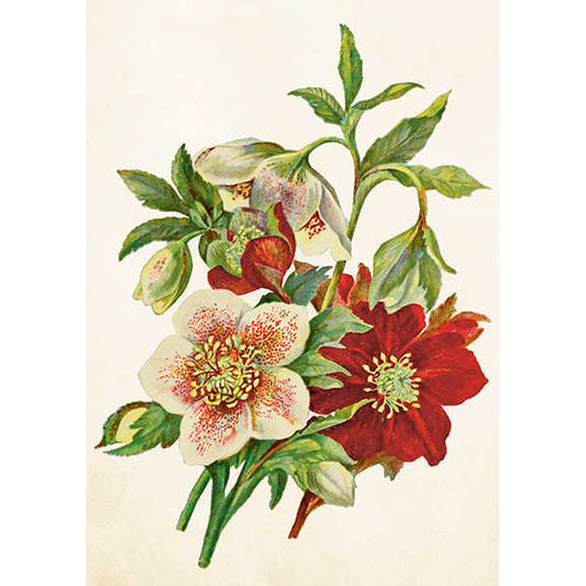 Jouluruusut kaksiosainen kortti