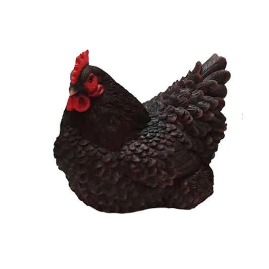 Kana makoileva tummanruskea