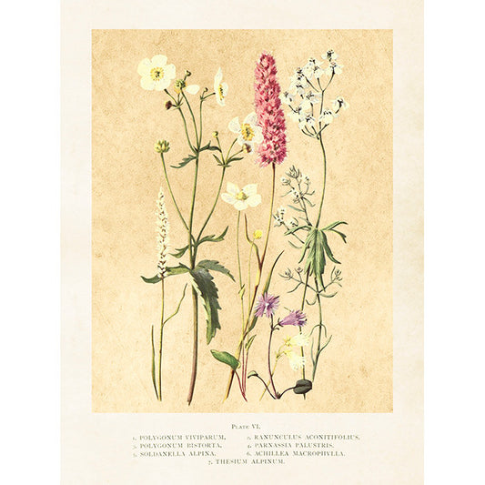 kesäinen taulu sköna ting