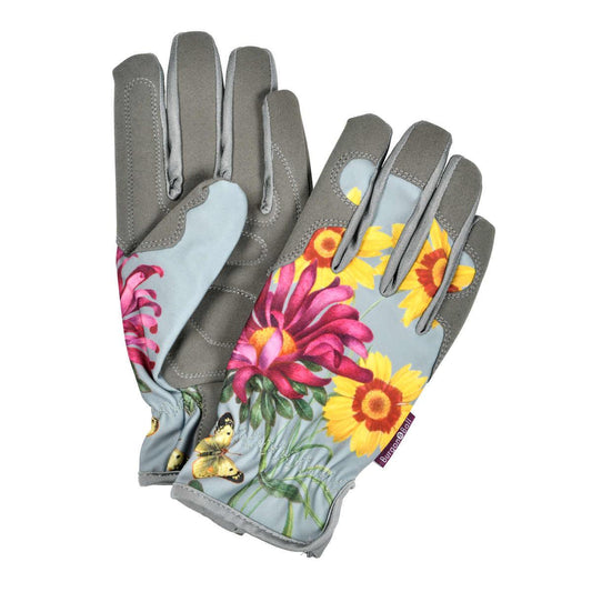 Puutarhakäsineet Asteraceae
