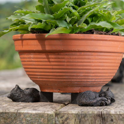 Ruukkutassut Kerällä nukkuva kissa 3 kpl setti