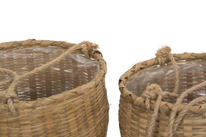 Koriamppeli bambu keskikokoinen 3 kpl setti