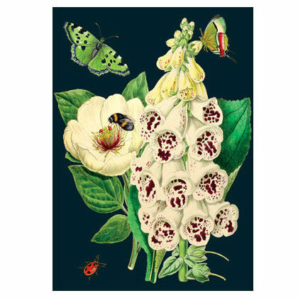 Sormustinkukka Midnight Botanical kaksiosainen kortti