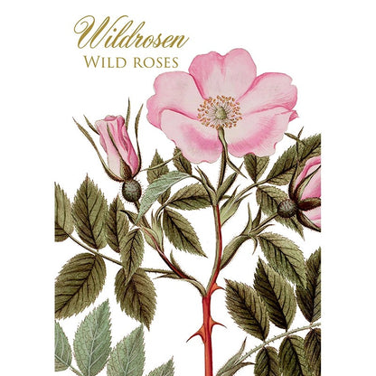 Postikortit Villiruusut - Wild roses 8 kpl