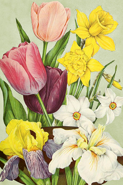 Postikortit peltirasiassa Kukkakimput - Summer Bouquets 20kpl