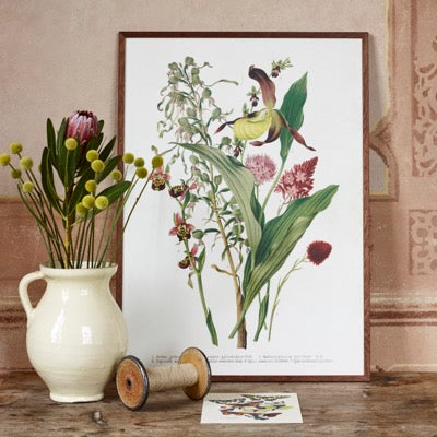 Kehykset julisteelle 50 x 70 cm