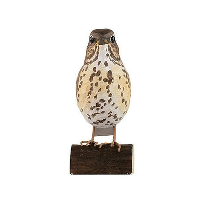 DecoBird koristelintu Laulurastas - Song Trush