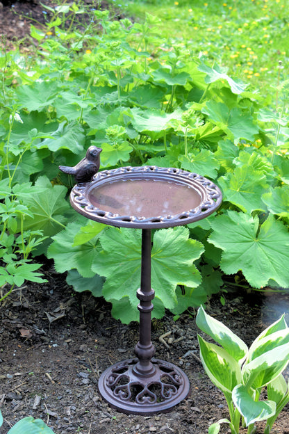 Jalallinen kylpyallas / juoma-allas linnuille, korkeus 39 cm