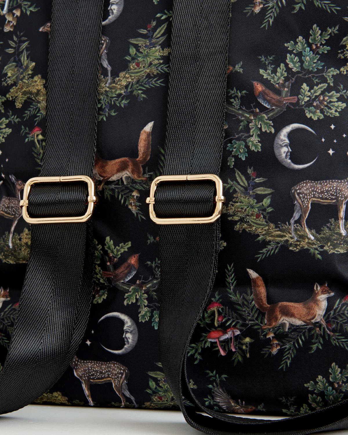 Reppu Woodland at Midnight Musta