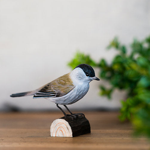 DecoBird koristelintu Mustapääkerttu - Blackcap