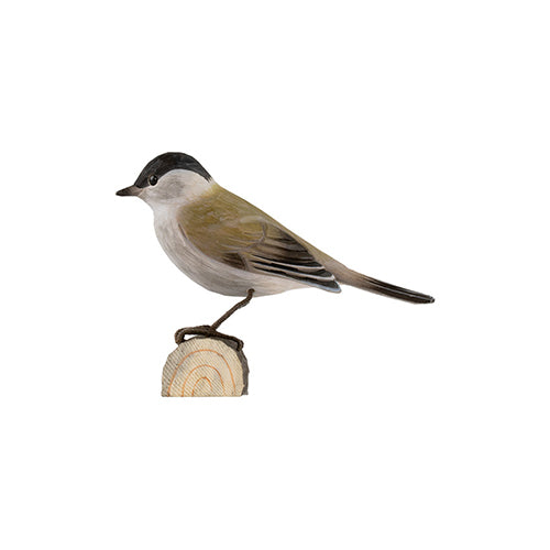 DecoBird koristelintu Mustapääkerttu - Blackcap