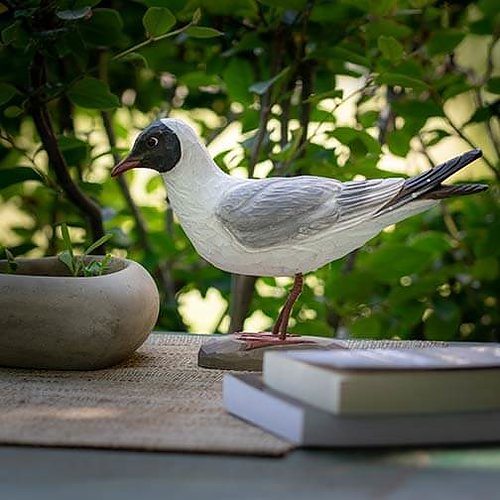 DecoBird koristelintu Naurulokki - Black-headed Gull