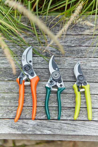 Pienet oksasakset - Micro secateur