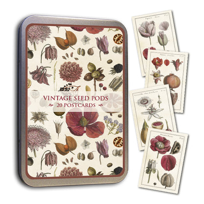 Postikortit peltirasiassa Vintage Seed Pods