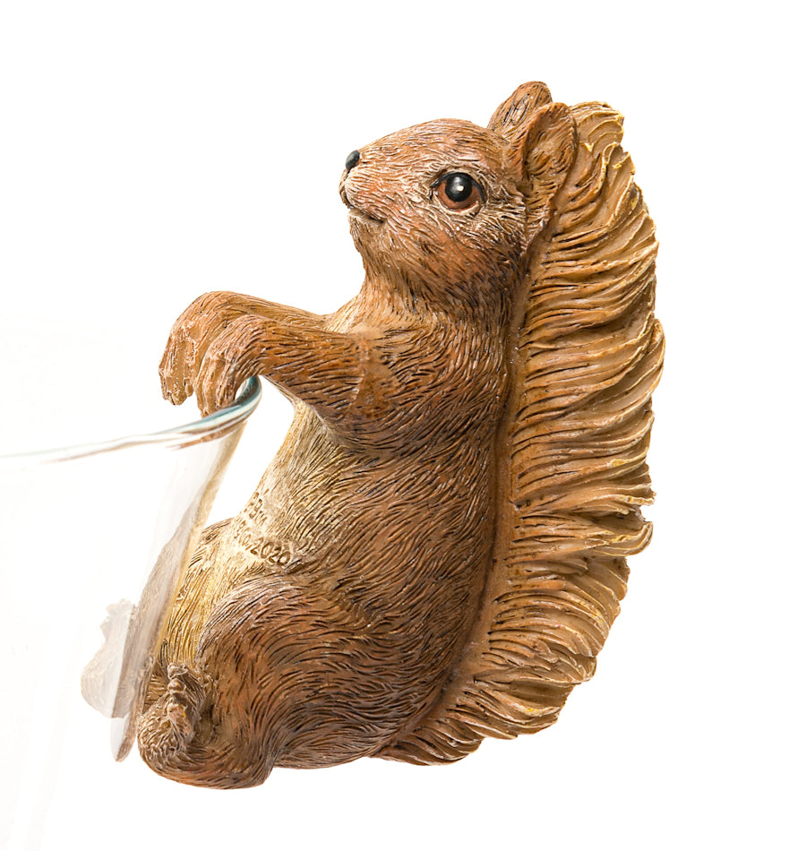 Ruukkukaveri Nutkin Squirrel orava
