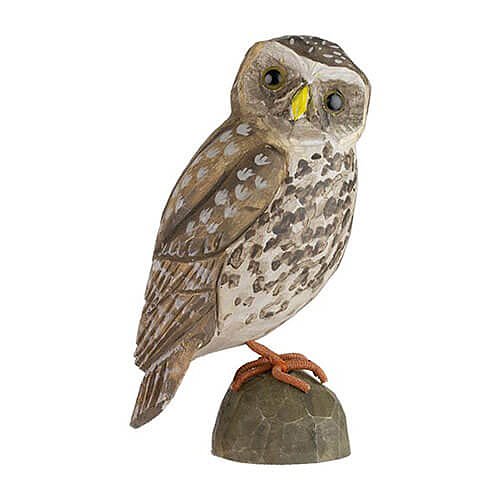 DecoBird koristelintu Pöllö - Little Owl
