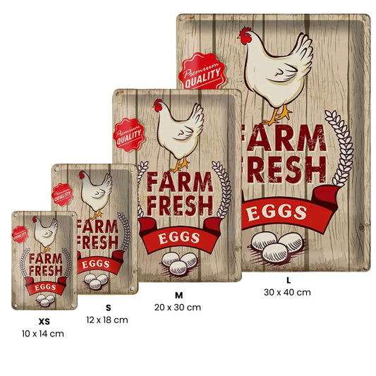 Peltikyltti Valkoinen Kana - Farm Fresh Eggs