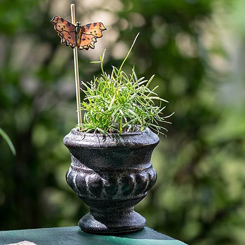 Puinen magneetti Herukkaperhonen - Comma Butterfly