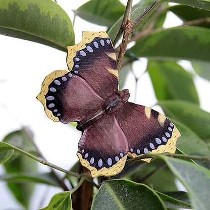 Puinen magneetti Suruvaippa perhonen - Camberwell Beauty Butterfly
