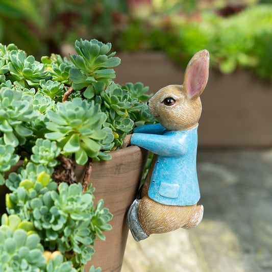 Ruukkukaveri Peter Rabbit pupu