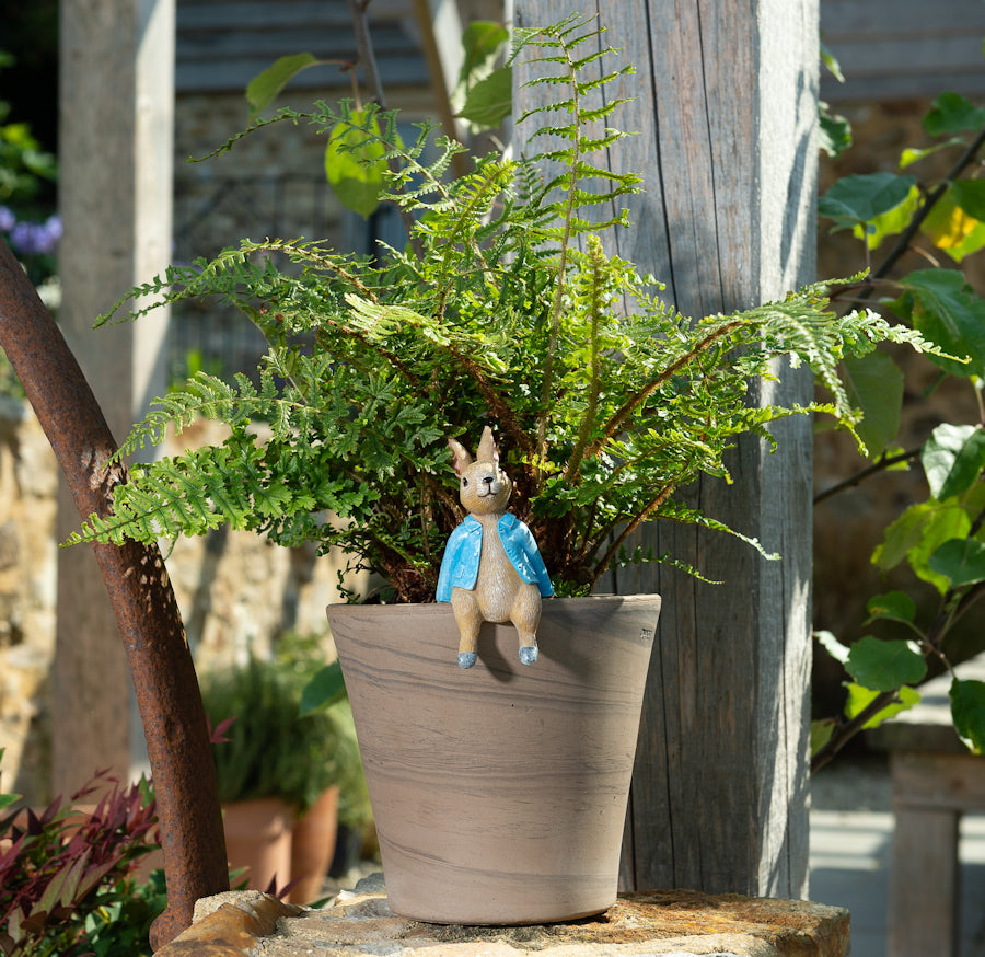 Ruukkukaveri Peter Rabbit istuva pupu, jardinopia