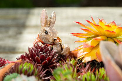 Ruukkukaveri Beatrix Potter Flopsy pupu