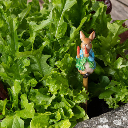 Kukkakepin kaveri Petteri Kaniini, jardinopia